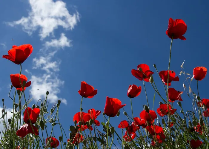 La Colombiere Du Chateau Nocleg ze śniadaniem